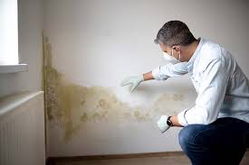 Mold Odor Removal Services in Lake Hamilton, FL